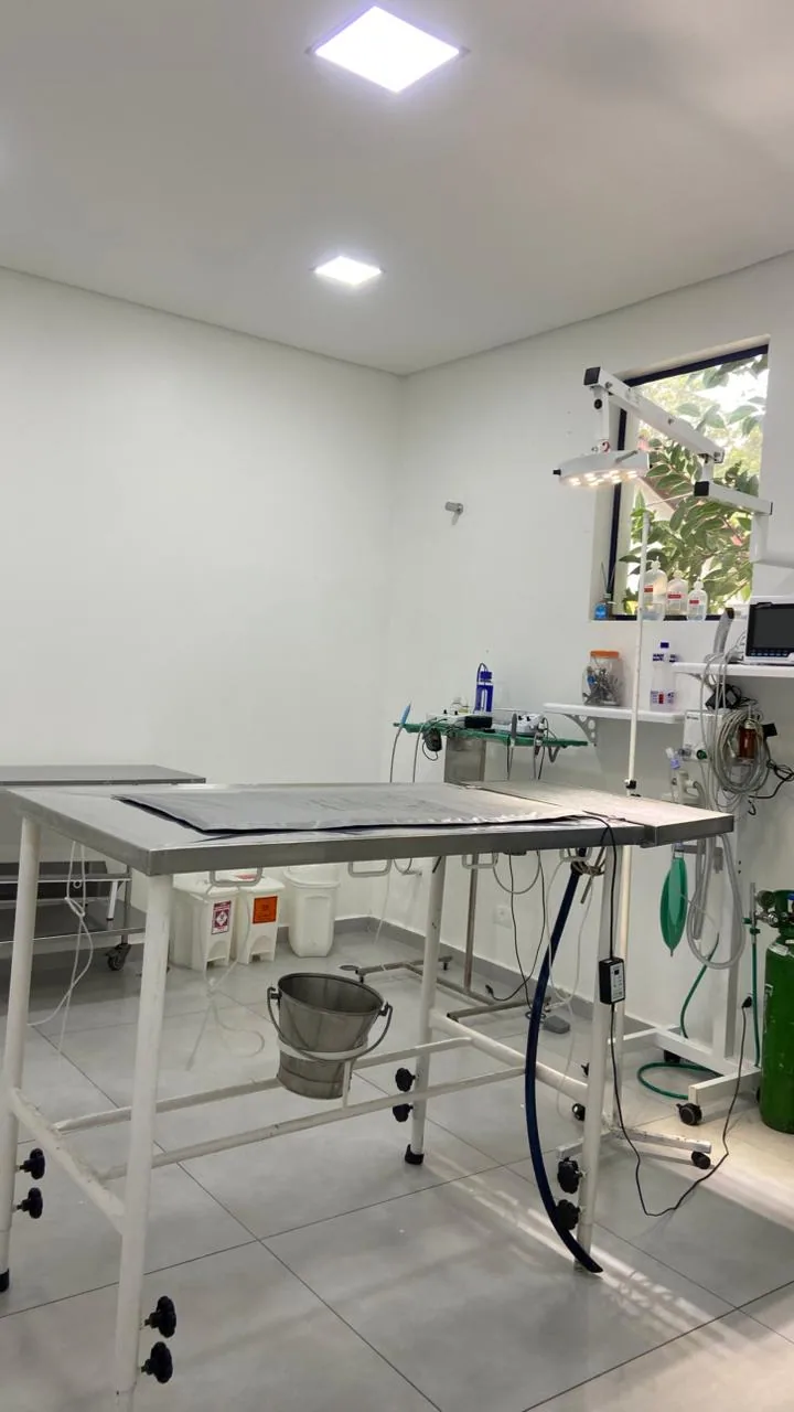Sala de procedimentos da Clínica Veterinária Avipec