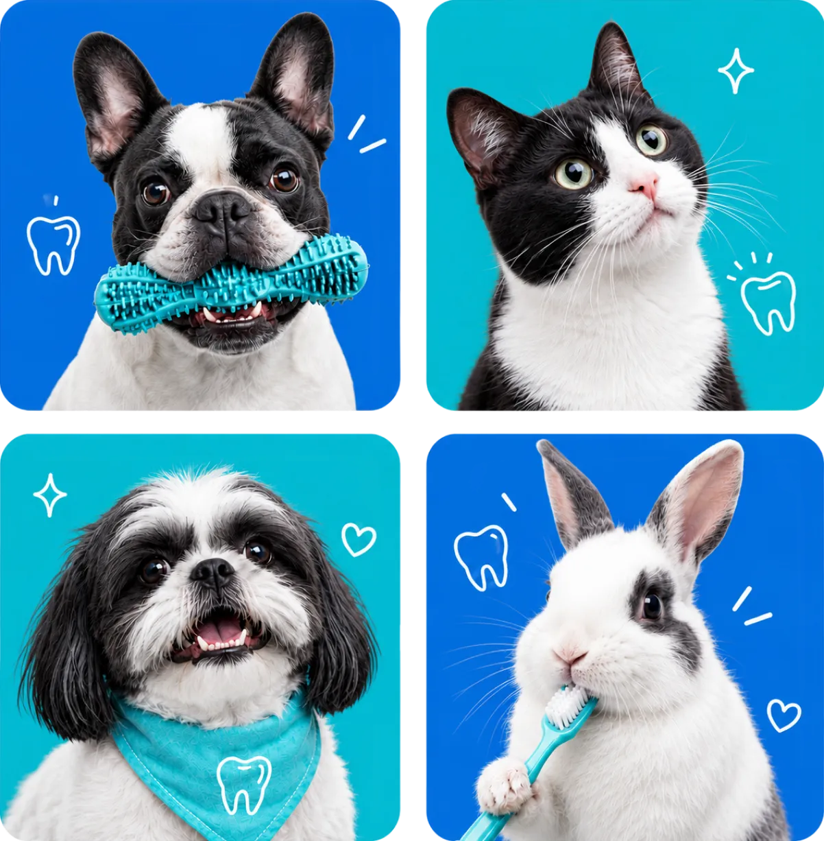 Cães, gato e coelho em uma composição visual sobre saúde bucal veterinária